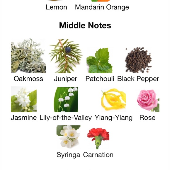 Sisley Eau Du Soir 2012 edition Travel Spray - Picture 6 of 6